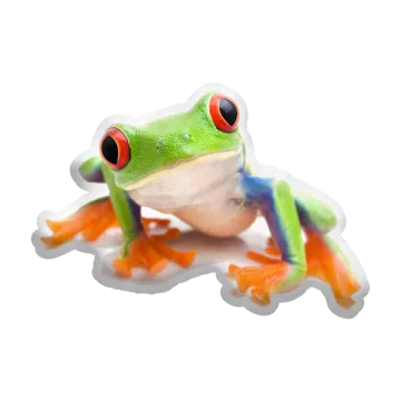 3D polštář ve tvaru Žába