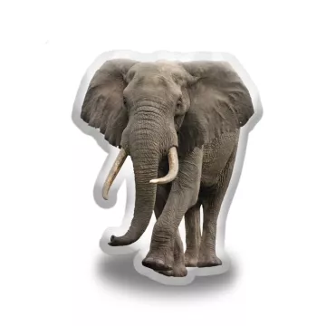 3D polštář ve tvaru Slon africký