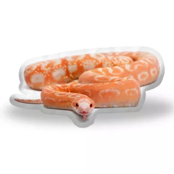 3D polštář ve tvaru Had