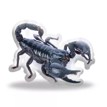 3D polštář ve tvaru Škorpion