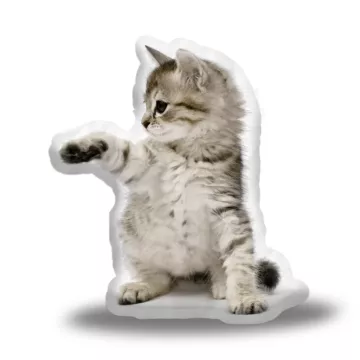 3D polštář ve tvaru Kotě