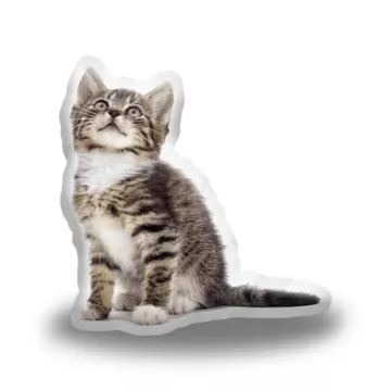 3D polštář ve tvaru Mourované koťátko