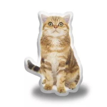 3D polštář ve tvaru Kočička