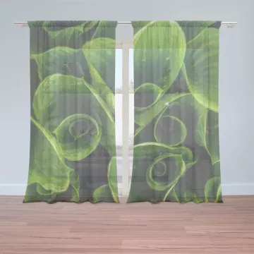 Záclony Zelené listy: 2 ks - 150x250 cm - Sablio