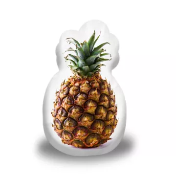 3D polštář ve tvaru Ananas